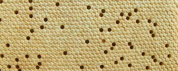 image one