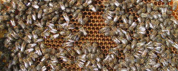 image two