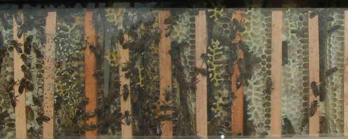 image three