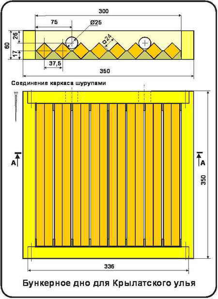 Чертёж дна