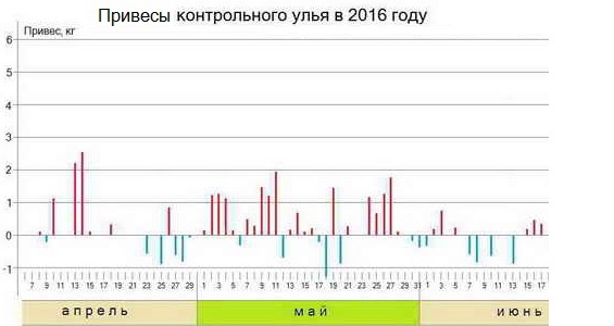 График 2016