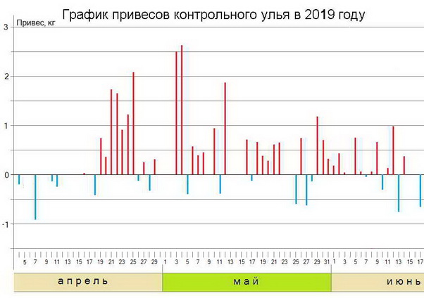 График 2019