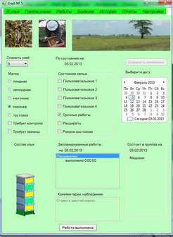 Форма Улей